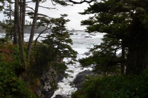 Like a painting.....Ucluelet