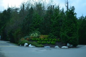 Our camp just south of Tofino