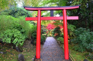 Entering the Japanese Garden