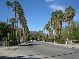 No shortage of palms heading into the ritzy area