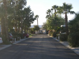 Not Palm Springs - this is our street called "Burning Tree" after a golf course 