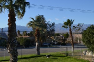 Mountain range behind park 