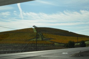 More vineyards as we are leaving Napa