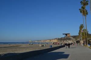 The Beach at La Jolla
