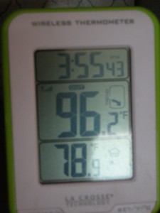 Temps outside and inside the RV