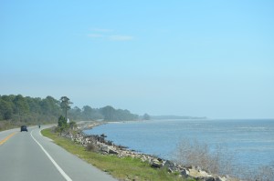 En route to Cedar Key