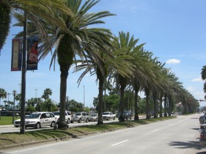 Beach St in Daytona Beach