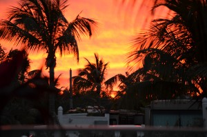 Last sunset-Grassy Key