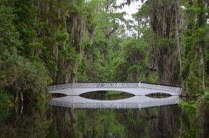 Half Moon bridge at Magnolia Plantation