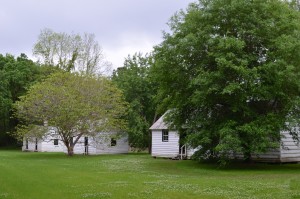 The Slaves houses