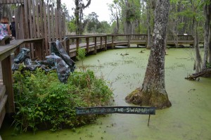 The Audubon Swamp at Magnolia